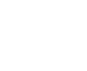השדרה 15